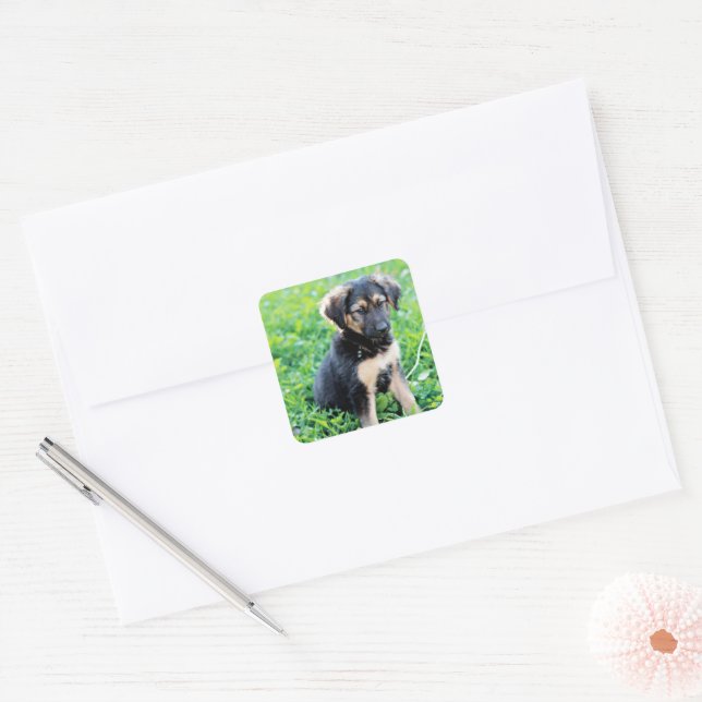 German Shepherd Puppy Square Sticker (Envelope)