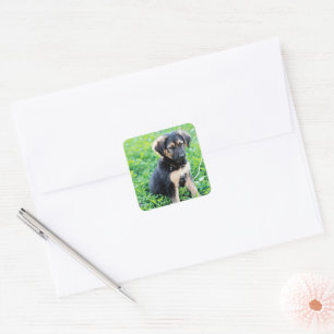 German Shepherd Puppy Square Sticker