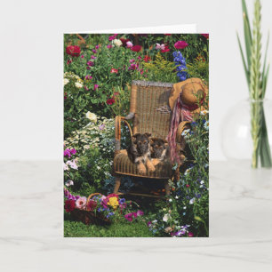 German Shepherd Pups Card Garden