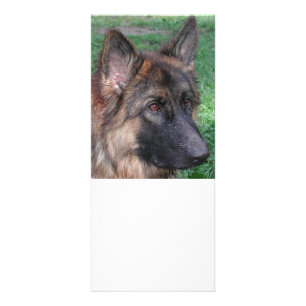 german shepherd rack card