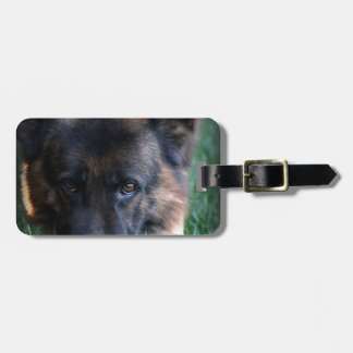 German Shepherd Randy vom Leithawald Luggage Tag