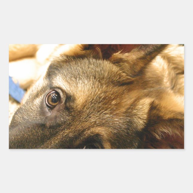 German Shepherd Rectangular Sticker (Front)