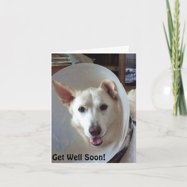 German Shepherd Rescue Central Texas Get Well Card (Front)