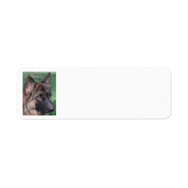 german shepherd return address label (Front)