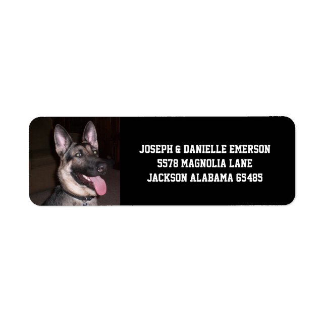 German Shepherd Return Address Label (Front)