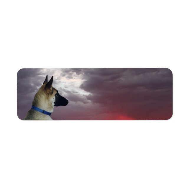 German Shepherd Return Address Labels (Front)