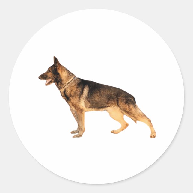 German shepherd Round Sticker (Front)