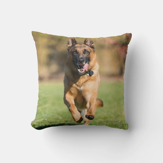 German Shepherd Running Cushion (Front)