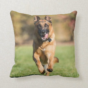 German Shepherd Running Cushion