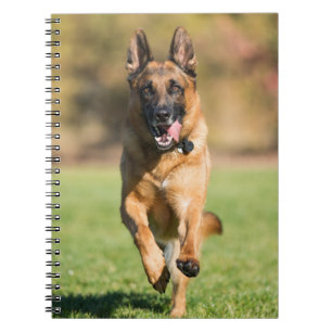 German Shepherd Running Notebook