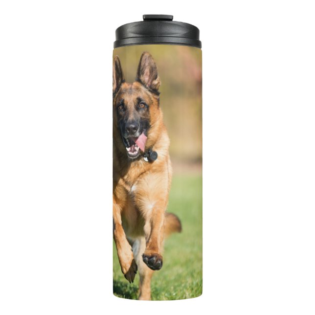 German Shepherd Running Thermal Tumbler (Front)