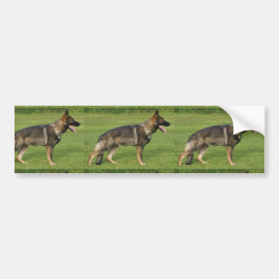 German Shepherd Sable Full Bumper Sticker