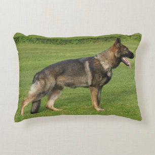German Shepherd Sable Full Decorative Cushion