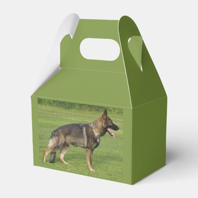 German Shepherd Sable Full Favour Box (Front Side)