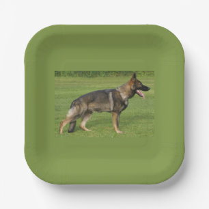 German Shepherd Sable Full  Paper Plate