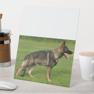 German Shepherd Sable Full Pedestal Sign