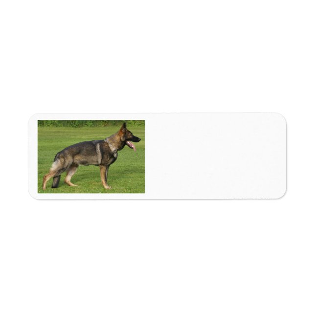 German Shepherd Sable Full  Return Address Label (Front)