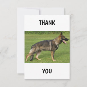 German Shepherd Sable Full  Thank You Card