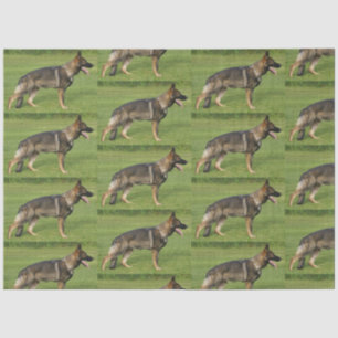 German Shepherd Sable Full Tissue Paper