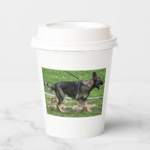german shepherd sable walking paper cups