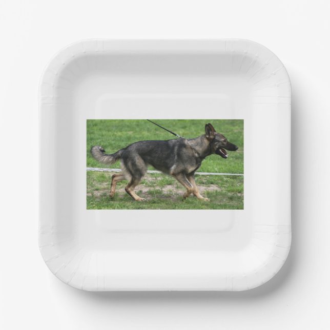 german shepherd sable walking paper plate (Front)