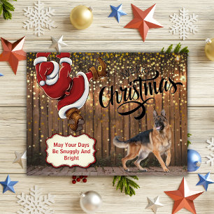 German Shepherd Santa Christmas Postcard