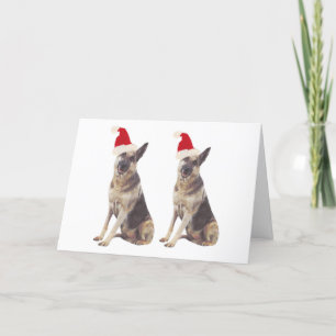 German Shepherd Santa Hat Holiday Card