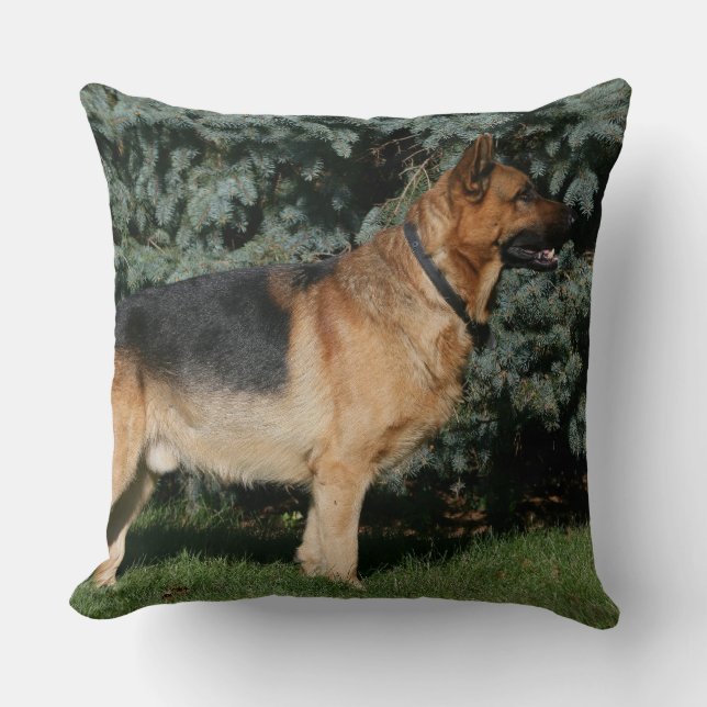 German Shepherd Show Stand Cushion (Front)