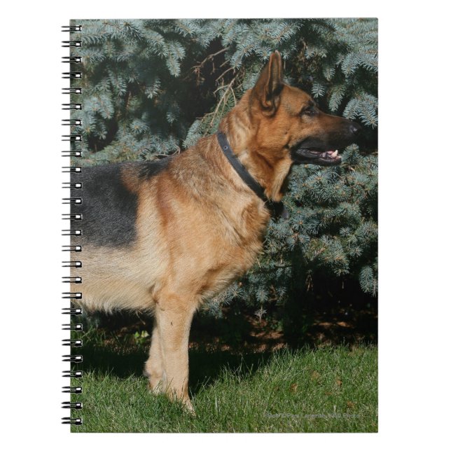 German Shepherd Show Stand Notebook (Front)