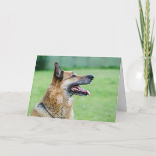 German Shepherd Side Portrait Card