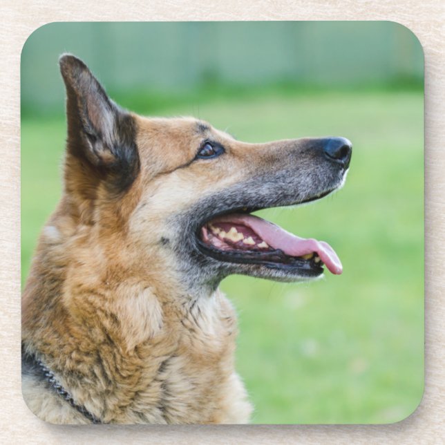 German Shepherd Side Portrait Coaster (Front)