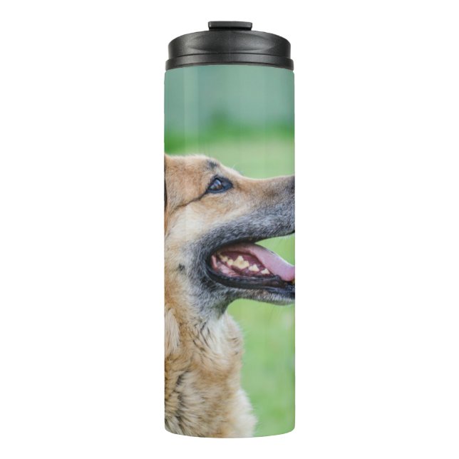 German Shepherd Side Portrait Thermal Tumbler (Front)
