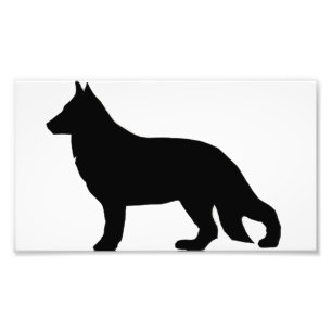 german shepherd silo black photo print