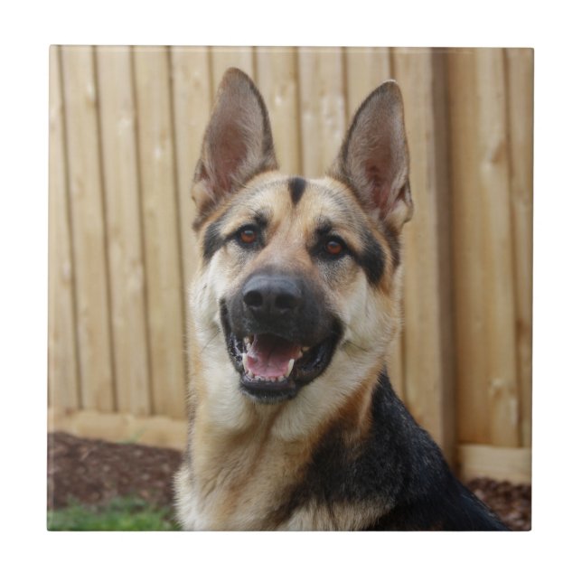 German Shepherd Sitting Ceramic Tile (Front)