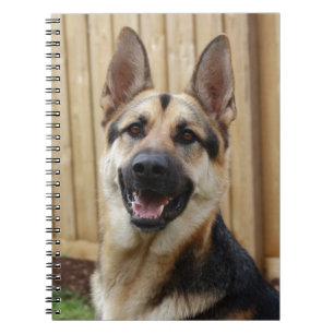 German Shepherd Sitting Notebook