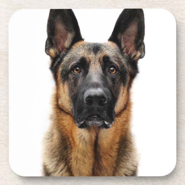 German Shepherd Sitting Up Coaster (Front)