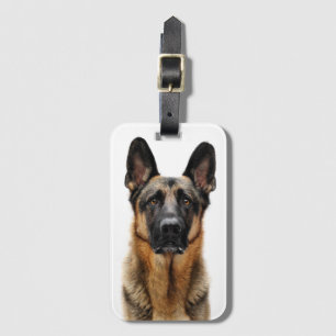 German Shepherd Sitting Up Luggage Tag
