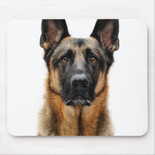 German Shepherd Sitting Up Mouse Pad