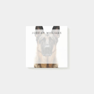 German Shepherd Sitting Up Post-it Notes