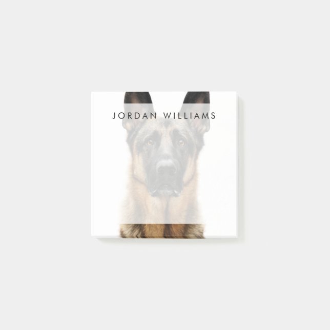 German Shepherd Sitting Up Post-it Notes (Front)