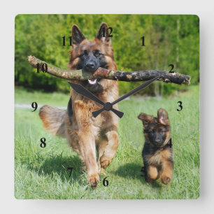 German Shepherd Square Wall Clock