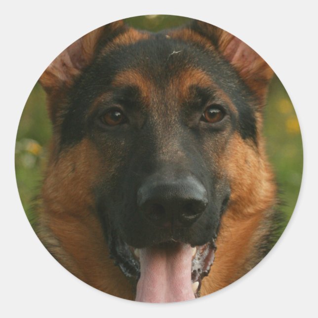 German Shepherd Sticker (Front)