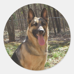 German Shepherd Stickers