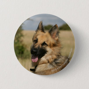 German Shepherd Sticking Tongue Out 6 Cm Round Badge