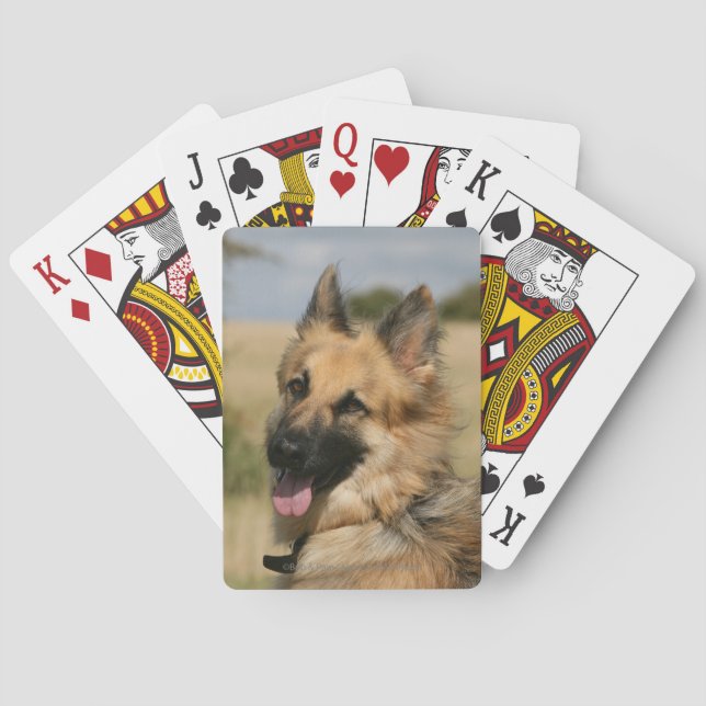 German Shepherd Sticking Tongue Out Playing Cards (Back)