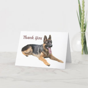 German Shepherd Thank You Card