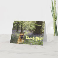 German Shepherd Thank You Card Forest