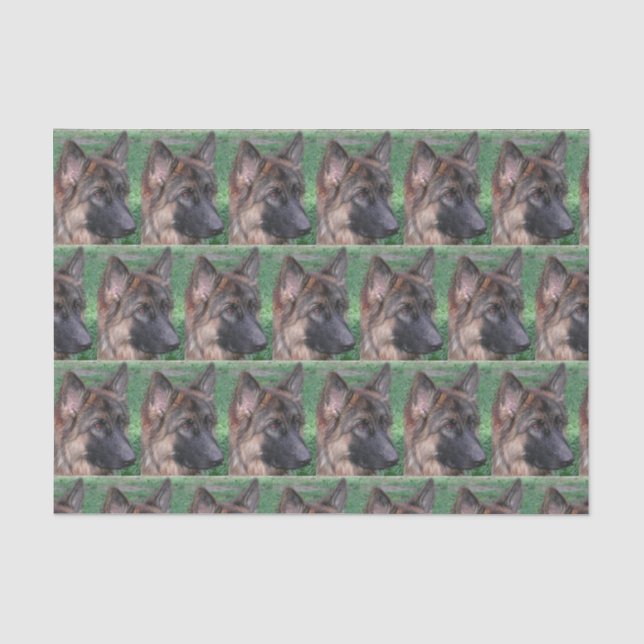 german shepherd tissue paper (Front)