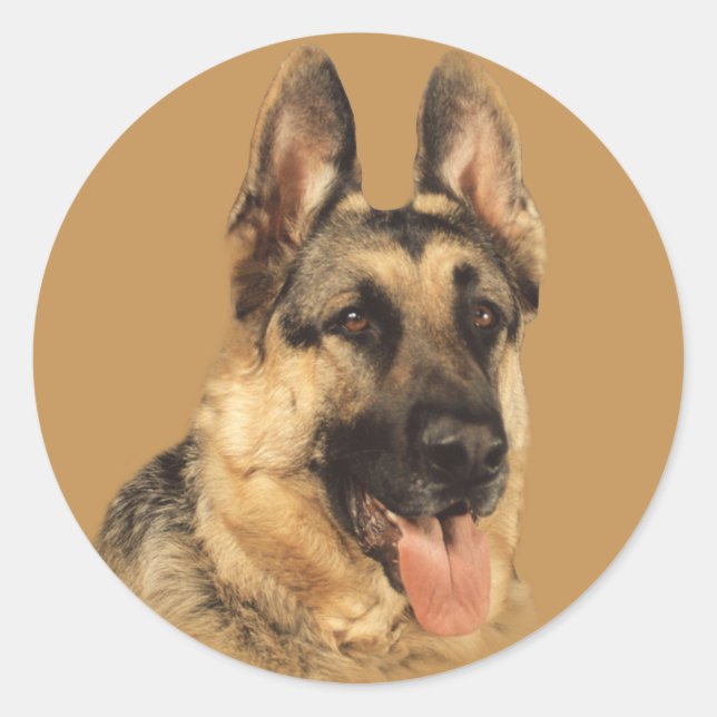 German Shepherd Very Handsome Sticker (Front)