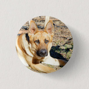 German Shepherd Wake Up,   Key Ring 3 Cm Round Badge